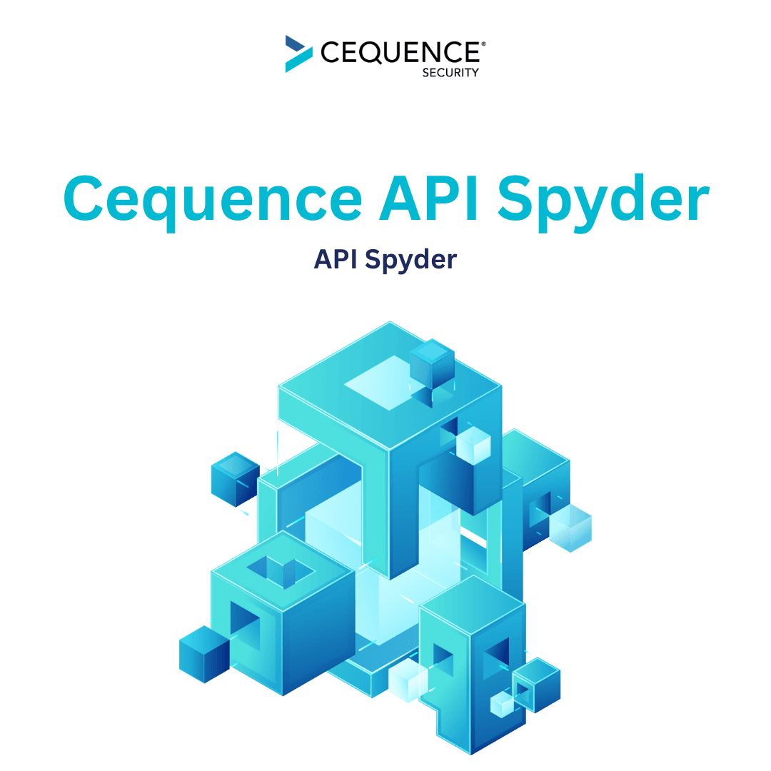 Cequence API Spyder.png
